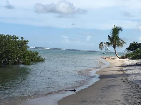 Polinesia Resort - Porto de Galinhas - Apartamentos com somente 1 opção de Térreo com Piscina Privativa - Acesso ao Hotel Samoa Appartement in Ipojuca