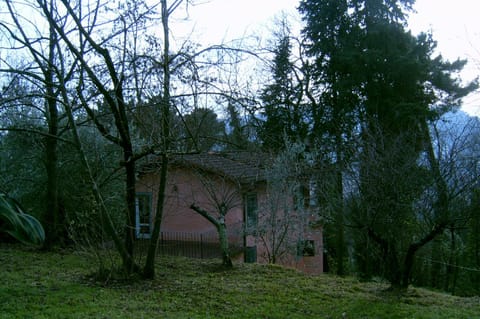 casa oliveto House in Camaiore