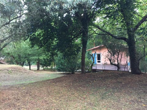 casa oliveto House in Camaiore