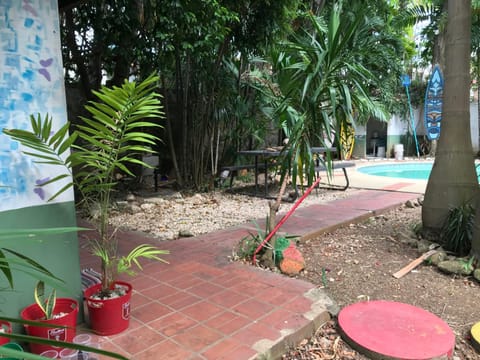 CulturaHumana Guesthouse Hostel in Panama City, Panama