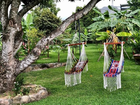 Garden, Garden view