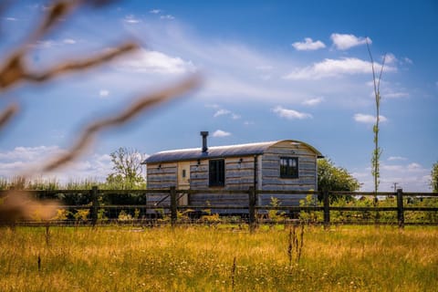 Property building, Day, Natural landscape