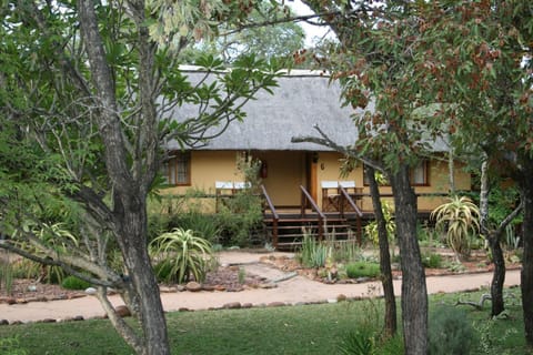 Thornhill Safari Lodge Nature lodge in South Africa