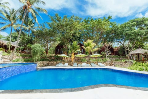 Day, Pool view, Swimming pool, sunbed