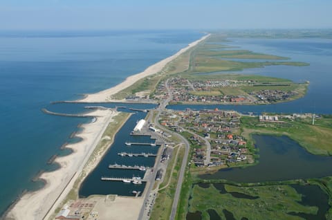 Day, Bird's eye view