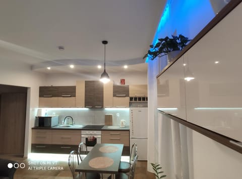 Kitchen or kitchenette, minibar, pet friendly, stove