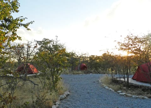 Property building, Natural landscape