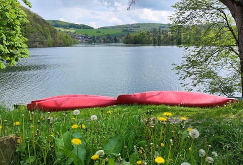 Natural landscape, Lake view