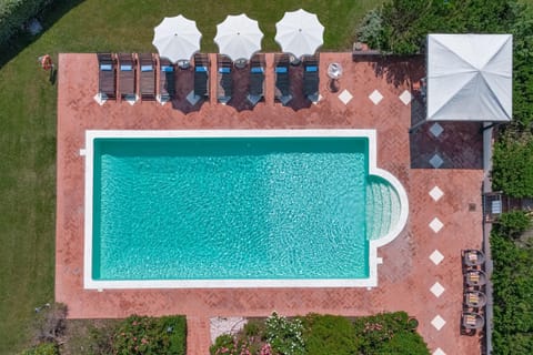 Day, Bird's eye view, Garden, Garden view, Pool view, Swimming pool, sunbed