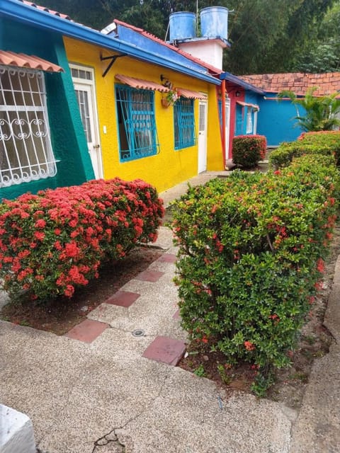 Patio, Facade/entrance, Garden