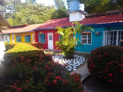 Property building, Facade/entrance, Garden