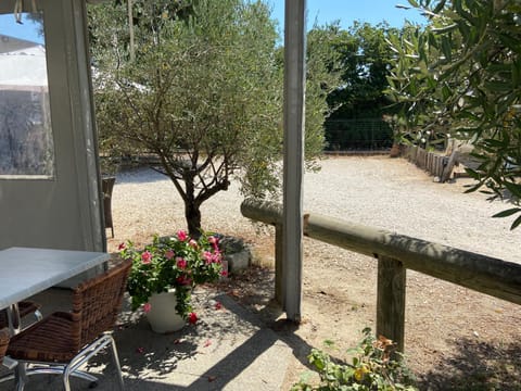 Inner courtyard view