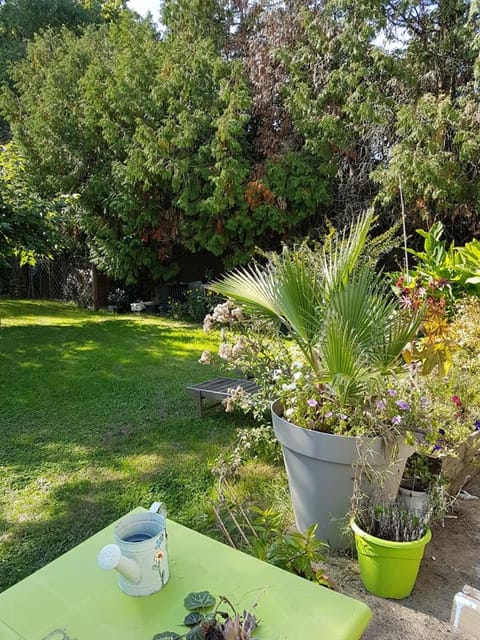 Garden, Balcony/Terrace