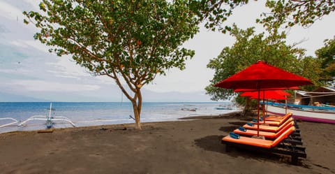 Natural landscape, Beach, Sea view, Area and facilities, sunbed