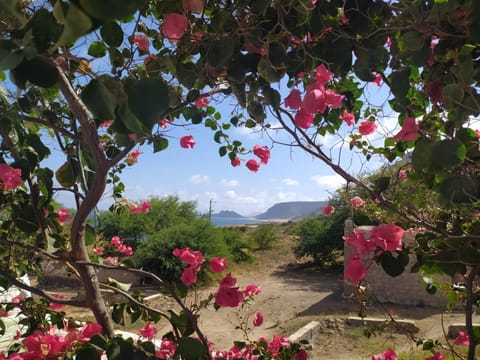 Off site, Natural landscape, Sea view