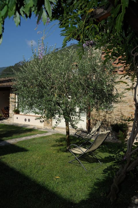 Dimora delle Camelie Country House in Capannori