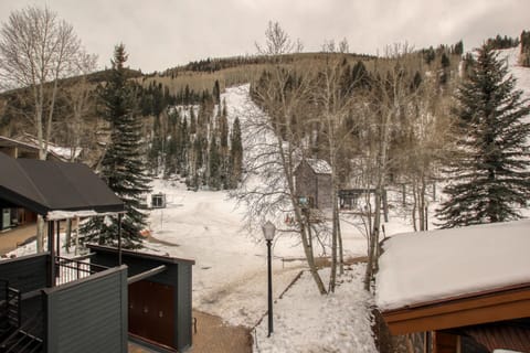 Misty Maiden Apartment in Telluride