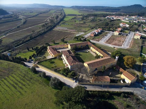 Bird's eye view, Garden