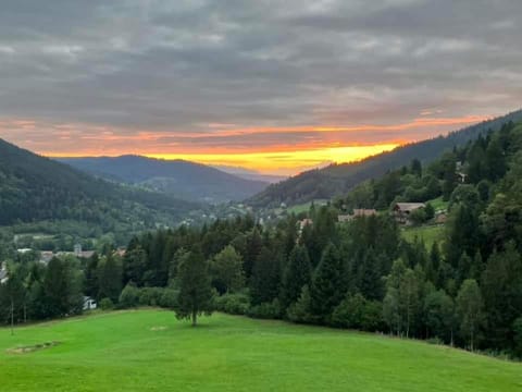 La Ferme du Panorama et Spa Chalet in Vosges