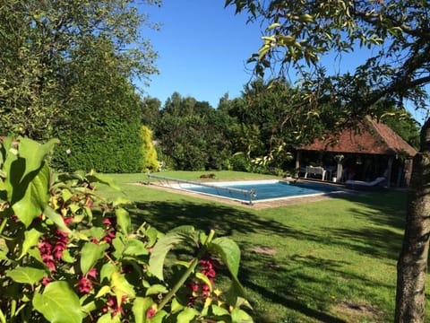 Garden, Swimming pool