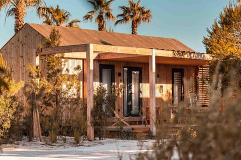 Spring, Day, Garden, Garden view