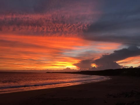 Natural landscape, Beach, Sunset