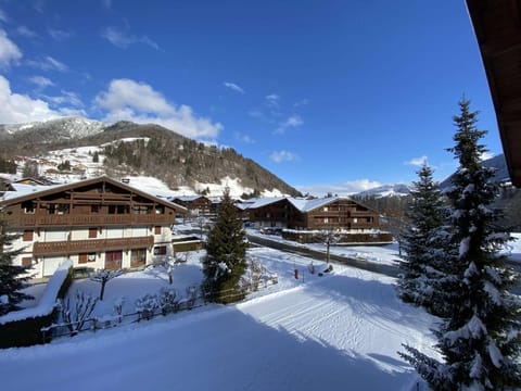 Studio Cabine à Praz-Sur-Arly, proche village et pistes, balcon, parking, piscine, 4 pers - FR-1-603-18 Apartment in Megève