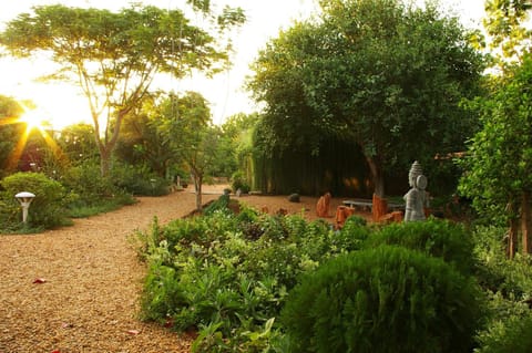 Facade/entrance, Garden, Garden view, Sunset