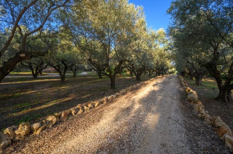 Captivating 5-Bedr Villa close Navarino Dunes Golf Villa in Messenia