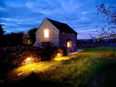 Property building, Garden, Sunset