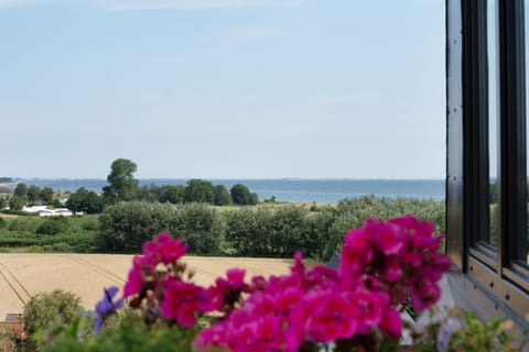 Berolina Küstenleben Apartment in Dahme