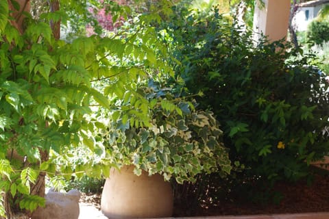 Les Chambres d Hôtes de Valensole au pays des lavandes et proche des Gorges du Verdon Pousada com café da manhã (B&B) in Valensole