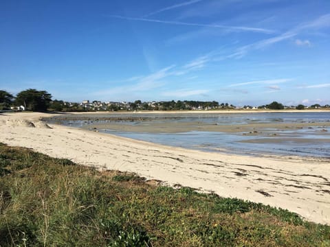 Belle maison avec jardin clos proche plage à l'ILE GRANDE - Réf 291 Villa in Brittany