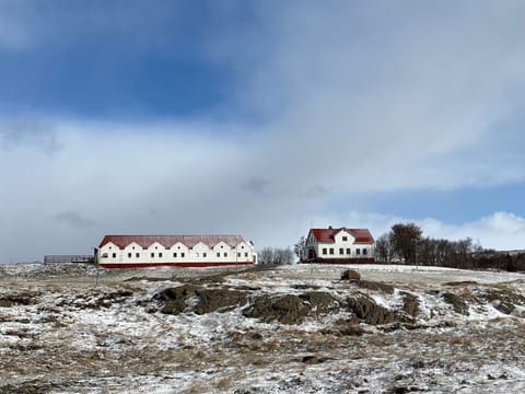 Property building, Winter