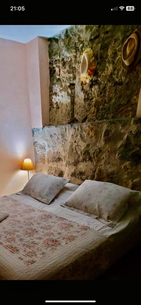 Casa da Carmen e do Fernando Bed and Breakfast in Santa Teresa