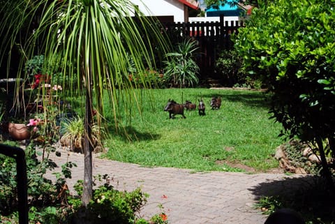 Garden, Garden, Garden view, Garden view