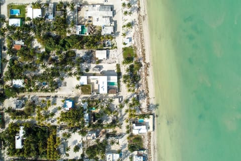 BEACHFRONT COCO Modern Designer House by PENINSULA STAYS House in State of Quintana Roo