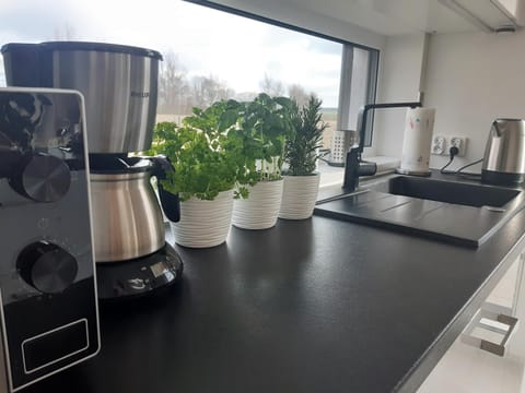 Coffee/tea facilities, Kitchen or kitchenette, Kitchen or kitchenette