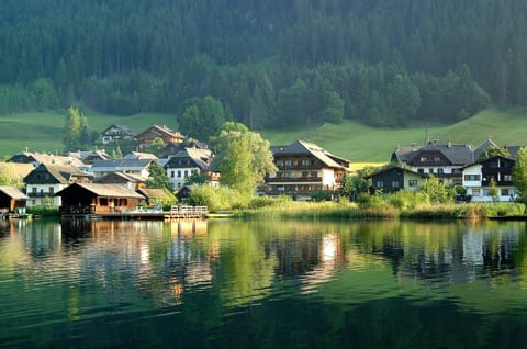 Day, Neighbourhood, Bird's eye view