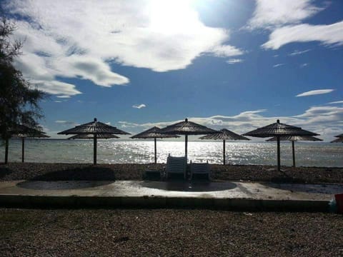 Day, Sea view, sunbed