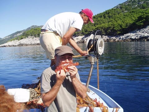 Apartments Pitarević Condo in Korita, Mljet