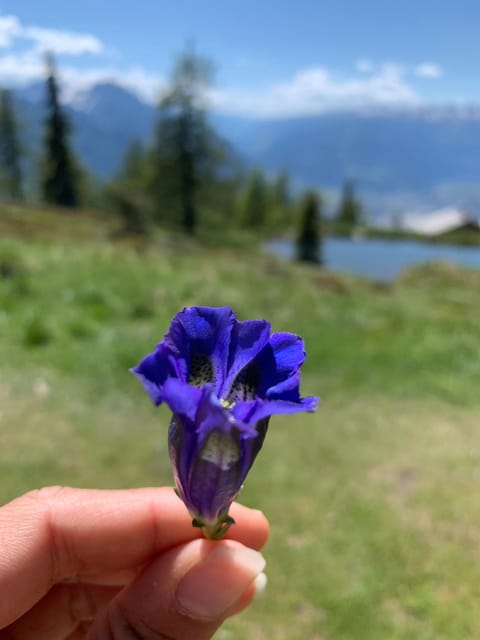 Summer, Other, Hiking