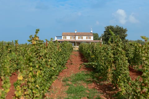 Stancija Katarina di Maladel Villa in Istria County