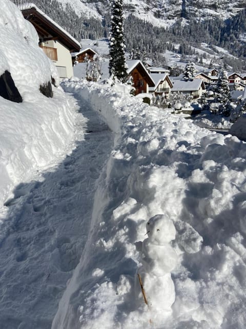 Property building, Neighbourhood, Game Room, Garden, Other