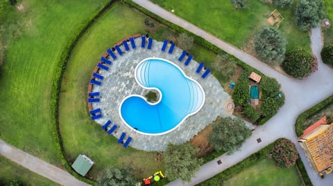 Bird's eye view, Pool view, Swimming pool