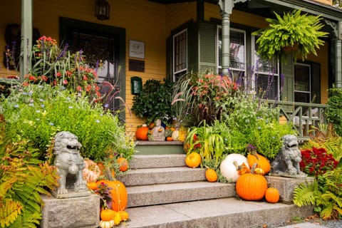 Facade/entrance, Decorative detail, Autumn