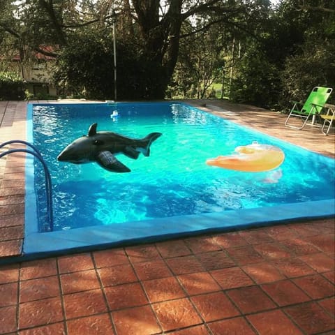 Pool view, Swimming pool, Sunset