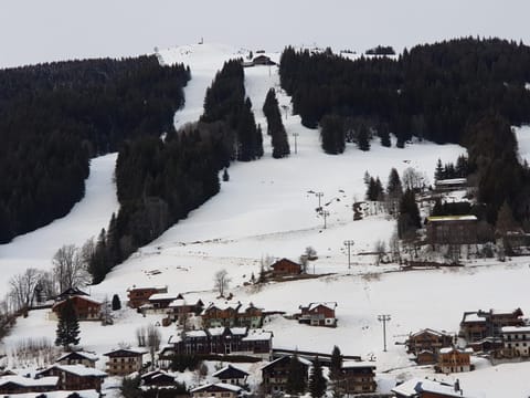 B&B La Seigneurie Bed and Breakfast in Les Gets