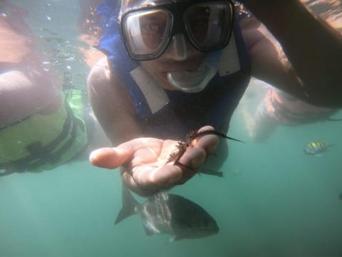 Snorkeling