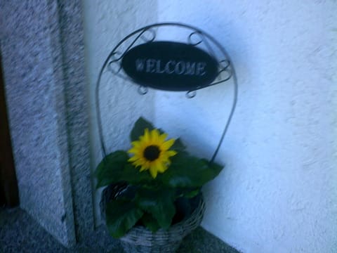 Haus Alpenblick inkl. Chiemgaukarte Apartment in Ruhpolding